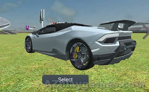 Rock and Race Driver game